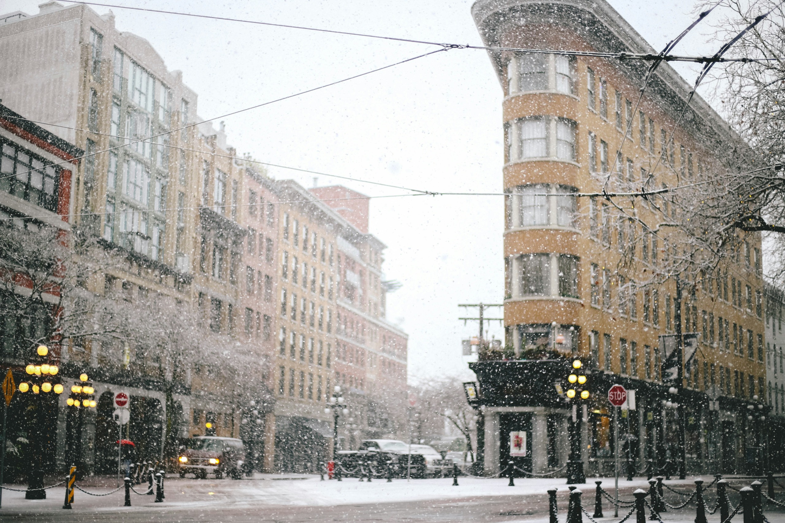 concrete road beside building during winter season - photo by elora manzo