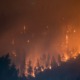 A forest engulfed in flames at night, with glowing embers and smoke filling the sky. The silhouetted trees are illuminated by the orange glow of the wildfire, creating a dramatic and intense scene. Photo by: Matt Howard