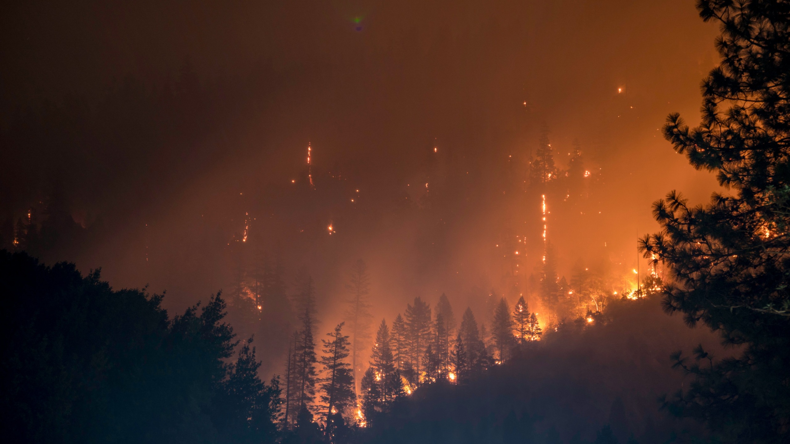 A forest engulfed in flames at night, with glowing embers and smoke filling the sky. The silhouetted trees are illuminated by the orange glow of the wildfire, creating a dramatic and intense scene. Photo by: Matt Howard